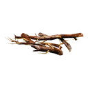 Roots icon