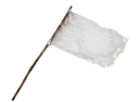 White Flag icon